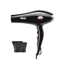 SECADOR DE PELO DSP PROFESIONAL 1000W