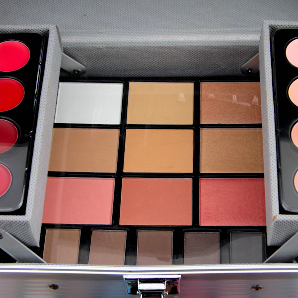 MALETA DE MAQUILLAJE MISS ROSE DE 4 NIVELES DE ALUMINIO