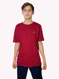 CAMISETA MASCULINO LION OF PORCHES MANGAS CORTAS