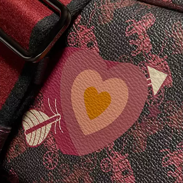 BOLSO BANDOLERA FEMENINO COACH CAMERA 16