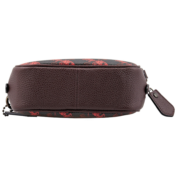 BOLSO BANDOLERA FEMENINO COACH CAMERA 16