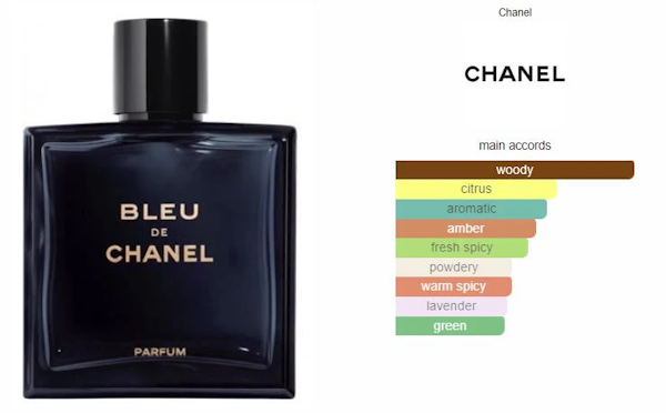 PERFUME MASCULINO CHANEL BLEU PARFUM 100ML