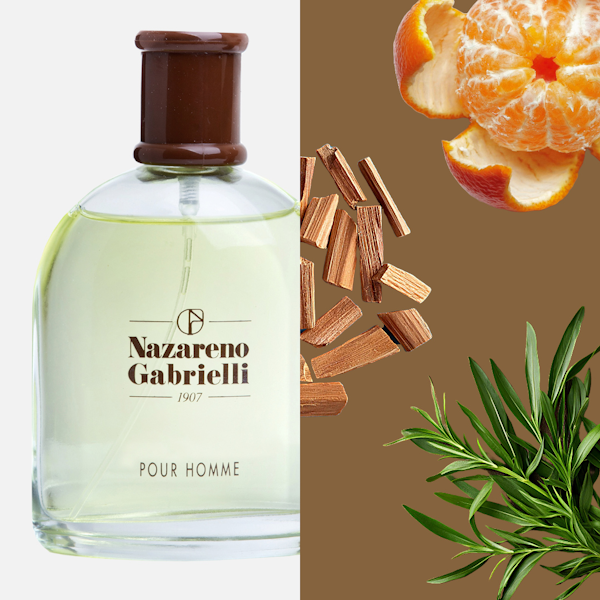 PERFUME MASCULINO NAZARENO GABRIELLI CLASSIC POUR HOMME EDT 100ML