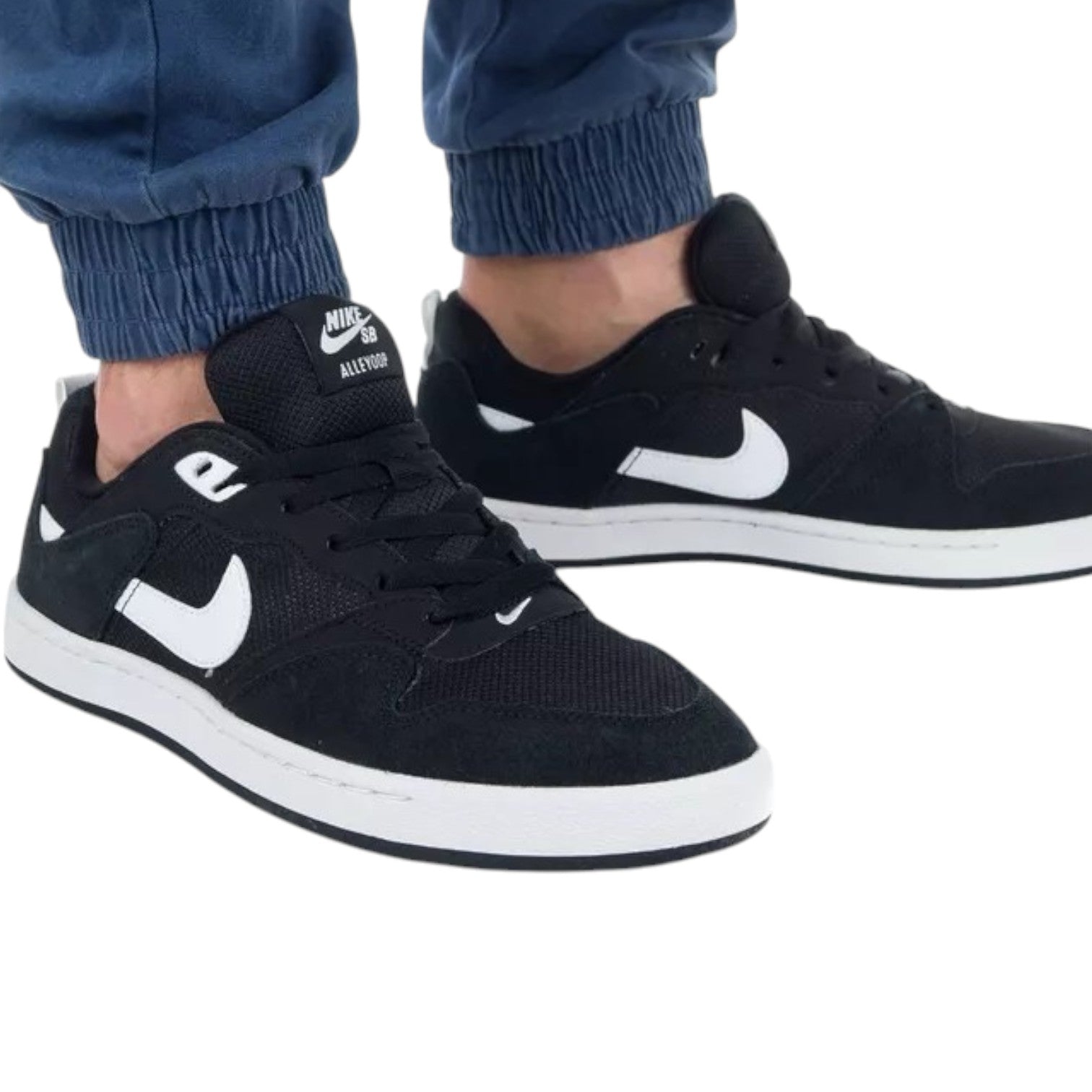 CALZADO CASUAL MASCULINO NIKE SKATEBOARDING SB ALLEYOOP