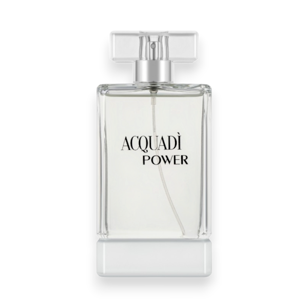 PERFUME MASCULINO ACQUADI POWER EDT 100ML