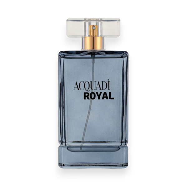 PERFUME MASCULINO ACQUADI ROYAL EDT 100ML