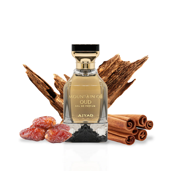 PERFUME MASCULINO AJYAD MOUNTAIN OF OUD EDP 100ML